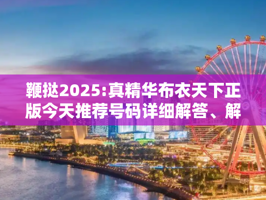 鞭挞2025:真精华布衣天下正版今天推荐号码详细解答、解释与落实