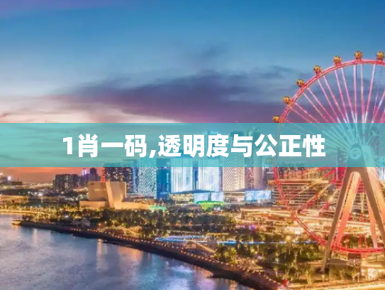 1肖一码,透明度与公正性