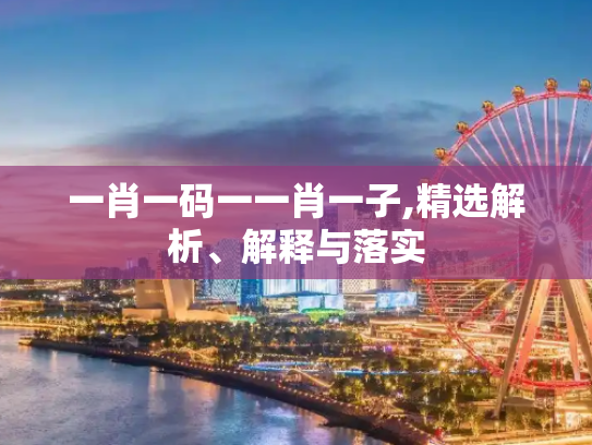 一肖一码一一肖一子,精选解析、解释与落实