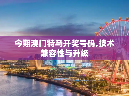 今期澳门特马开奖号码,技术兼容性与升级