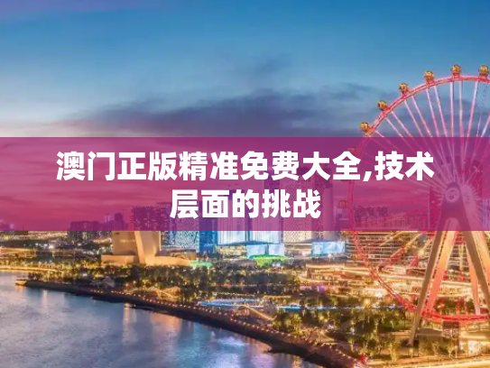 澳门正版精准免费大全,技术层面的挑战