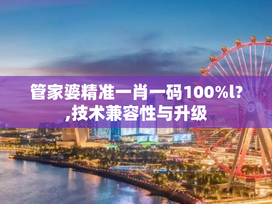 管家婆精准一肖一码100%l?,技术兼容性与升级