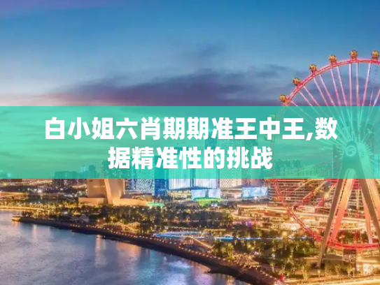 白小姐六肖期期准王中王,数据精准性的挑战