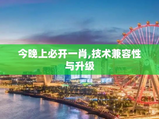 今晚上必开一肖,技术兼容性与升级