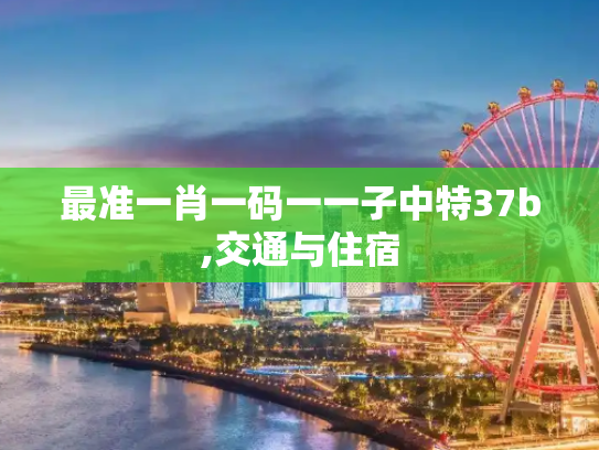 最准一肖一码一一子中特37b,交通与住宿