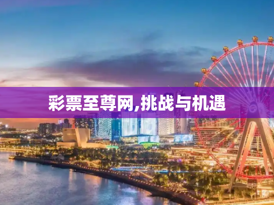彩票至尊网,挑战与机遇
