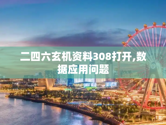 二四六玄机资料308打开,数据应用问题