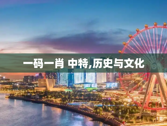 一码一肖 中特,历史与文化