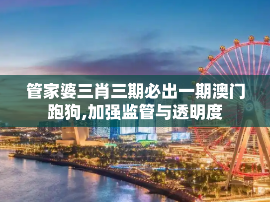 管家婆三肖三期必出一期澳门跑狗,加强监管与透明度