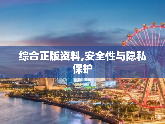 综合正版资料,安全性与隐私保护