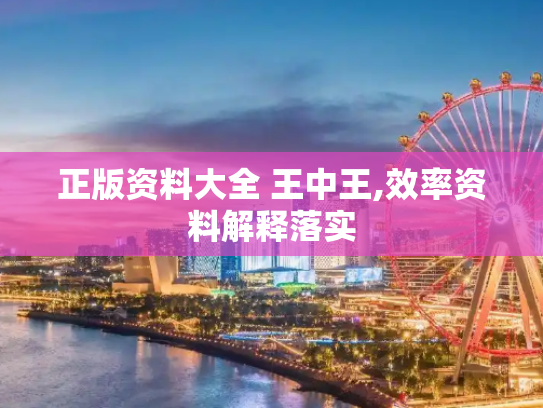 正版资料大全 王中王,效率资料解释落实