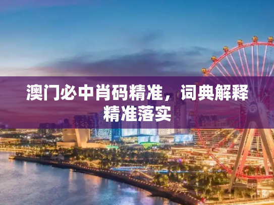 澳门必中肖码精准，词典解释精准落实