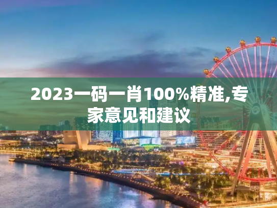 2023一码一肖100%精准,专家意见和建议