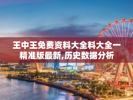 王中王免费资料大全料大全一精准版最新,历史数据分析