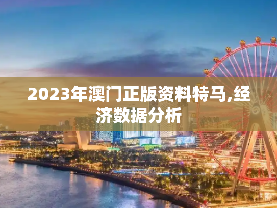 2023年澳门正版资料特马,经济数据分析
