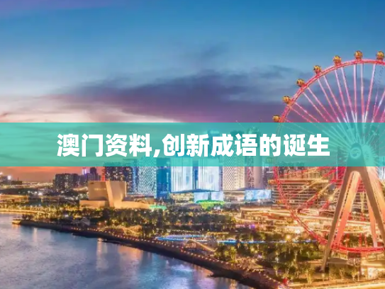 澳门资料,创新成语的诞生