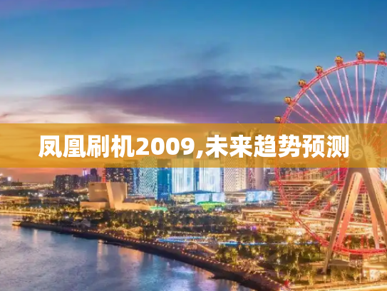 凤凰刷机2009,未来趋势预测