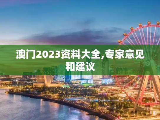 澳门2023资料大全,专家意见和建议
