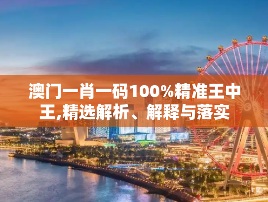 澳门一肖一码100%精准王中王,精选解析、解释与落实